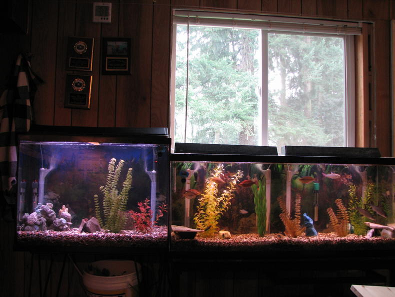 Port Angeles 007.jpg